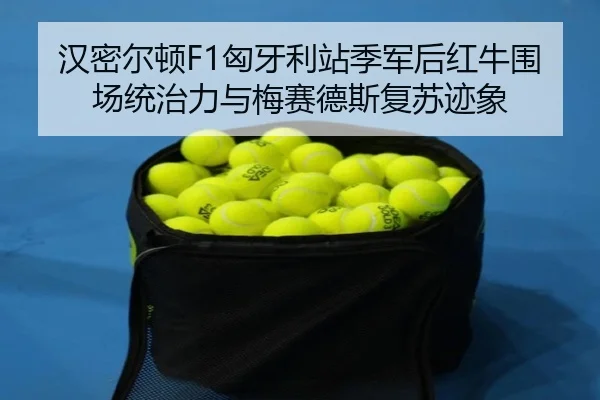 han-mi-er-dun-xiong-ya-li-zhan-ji-jun-hou-hong-niu-wei-chang-tong-zhi-li-yu-mei-sai-de-si-fu-su-ji-xiang-3-446.jpg