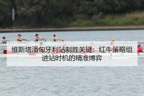 wei-si-ta-pan-xiong-ya-li-zhan-zhi-sheng-guan-jian-hong-niu-ce-lve-zu-jin-zhan-shi-ji-de-jing-zhun-bo-yi-3-433.jpg