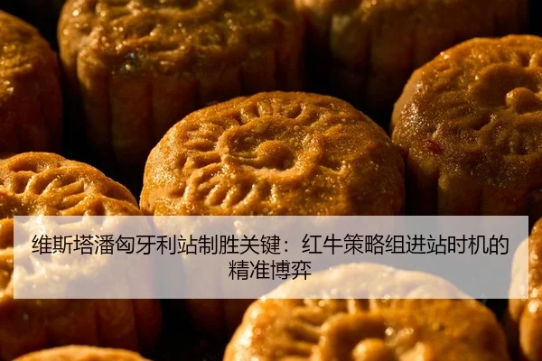 维斯塔潘匈牙利站制胜关键：红牛策略组进站时机的精准博弈