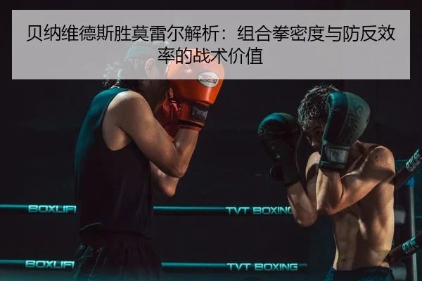 bei-na-wei-de-si-sheng-mo-lei-er-jie-xi-zu-he-quan-mi-du-yu-fang-fan-xiao-lv-de-zhan-shu-jia-zhi-3-257.jpg
